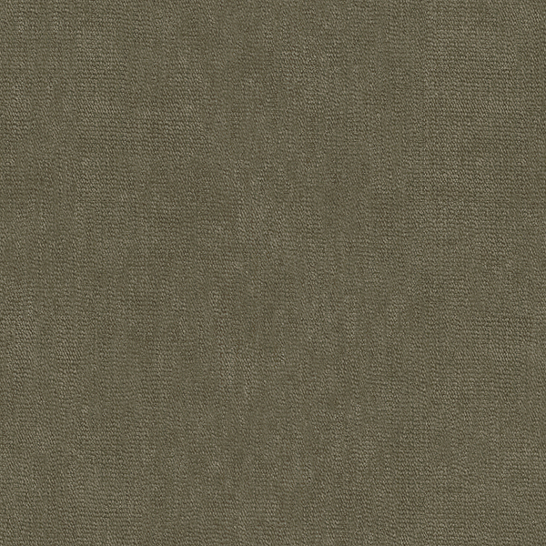 AKITA CHARCOAL