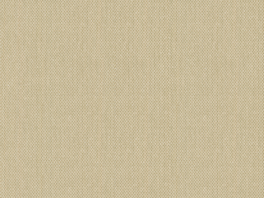 CANVAS TAUPE